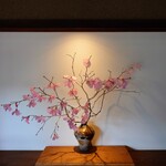 日本料理 すぎ多 - 