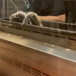 三茶 ユキツバキ - 