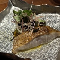マキノンチ - 