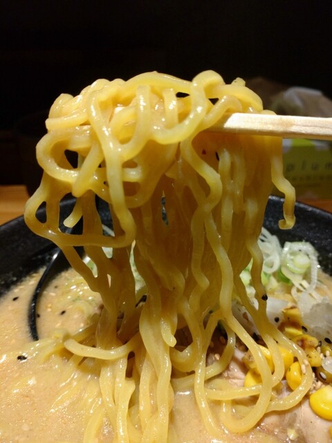 Sapporo Ramen Shishio Shinsaibashi Ten photo 2