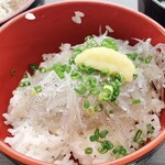 どんぶりハウス - 