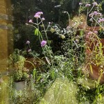 シークレット レストラン カメ - 