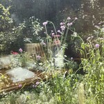 シークレット レストラン カメ - 