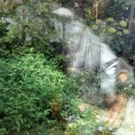 シークレット レストラン カメ - 