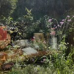 シークレット レストラン カメ - 