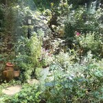 シークレット レストラン カメ - 