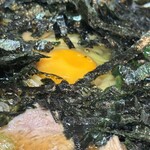 らぁめん ふるいち - 