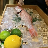 のどぐろ専門 銀座 中俣 - 