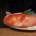 KOBAYASHI - 下田 金目鯛