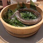 鮨よしかわ 海道 - 