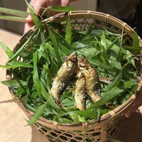 妙見石原荘 食菜石蔵 - 