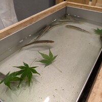 三宅輝 - 