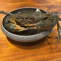 馳走西健一 - ドウマンガニ