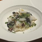 イタリア料理 樋渡 - 天草　新イカのリゾット