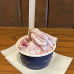 젤라테리아 지나 - 