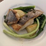 ピアノピアーノ - 