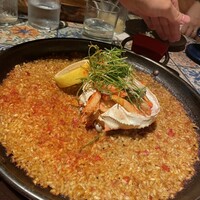 COLONIAL BEACH 横浜ハンマーヘッド - 