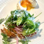 LAGOON TOOTH TOOTH - 