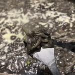 月島もんじゃ もへじ - 