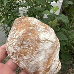 ベッカライ・ブロートツァイト - 