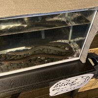 江戸川 ならまち店 - 