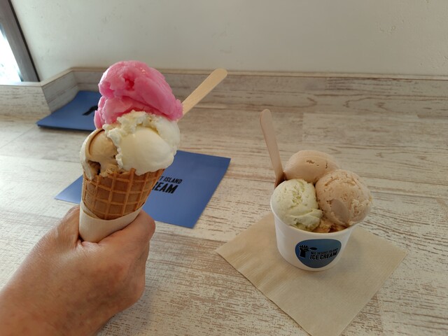 マウントデザートアイランドアイスクリーム 安曇野店 - 柏矢町