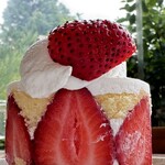 バードツリー - 