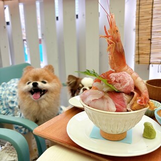 ふるはうす_1