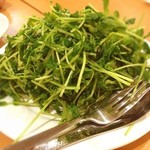 黄金の華 - 豆苗のニンニク炒め☺︎