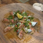 タマリバ 白金魚 PLATINUM FISH - 