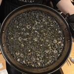 ElTragón - 