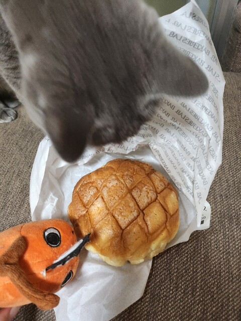 牛乳とメロンパン』by gonka440 : MELON LAB 逆井店 (メロン