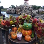 ケープコッド・クックオフ - 