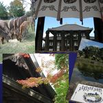 メインダイニングルーム 三笠 - 