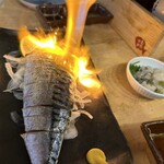 俺の魚を食ってみろ!!  - 