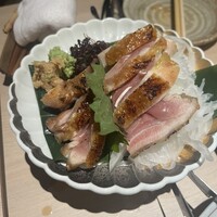 始祖鳥 - 