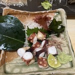 四国三郎 よしの川 - 