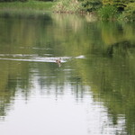 Cafe St. Maire KUMOBA