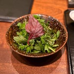 京町堀 なかむら - 梶谷農園のベビーリーフサラダ(お代わり可)