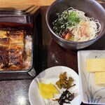 旬彩鰻彩 きた川 - 