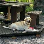 ル・フィヤージュ - 