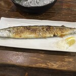 今日しかない  - 