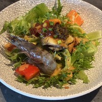 trattoria GALLIANO - 