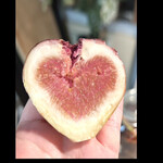 荘埜園 - LOVE❤️  ハートマーク出ました〜　（赤）　　　　　　byまみこまみこ