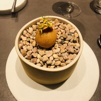 CIRPAS - 