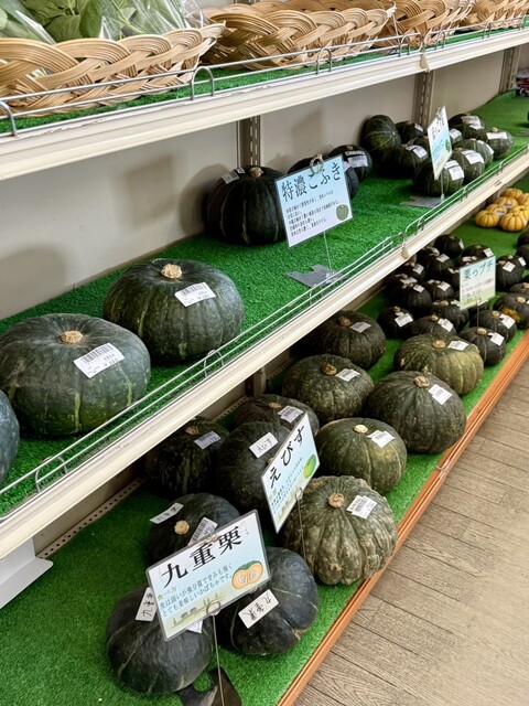 グリーンヒル905（グリーンヒルキュウマルゴ） - 網走（その他）の写真