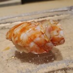 鮨　いの - 才巻海老(車海老)