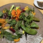 SHOLA - 農園がそのまま出てきたような素敵なサラダ　ひとつひとつの野菜に手がかかり　それにハーブやソースとの取り合わせがまたいい感じです