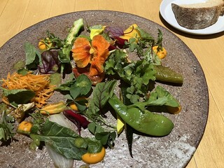 SHOLA - 農園がそのまま出てきたような素敵なサラダ　ひとつひとつの野菜に手がかかり　それにハーブやソースとの取り合わせがまたいい感じです