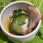 銀座 しのはら - タコときゅうり生姜酢和え　アップ